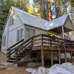 Cabin #8